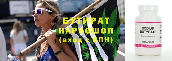 индика Тавда