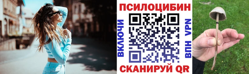 где купить наркоту  Шацк  Галлюциногенные грибы мухоморы 